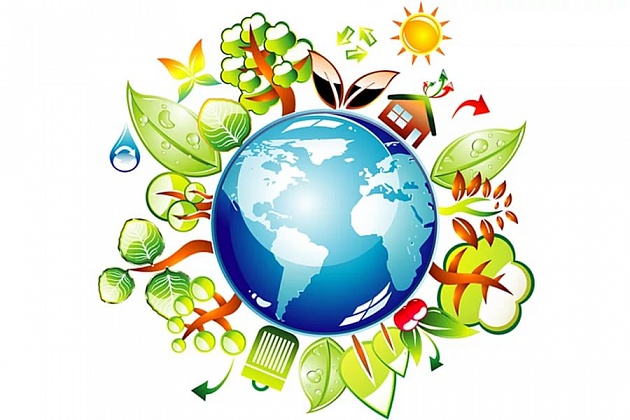 Экологическая викторина "Эта Земля - твоя и моя!"