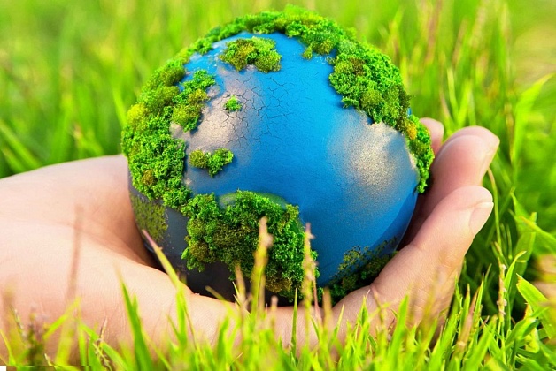 Фестиваль "ЭКО - ПАРК"