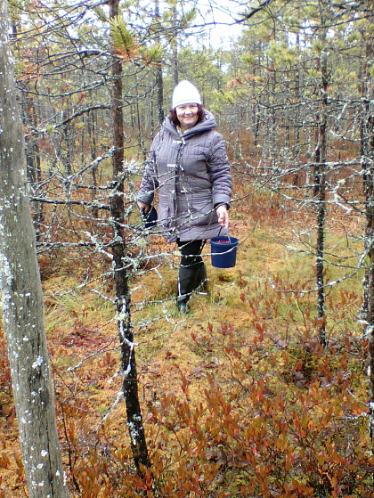 Выезд за клюквой