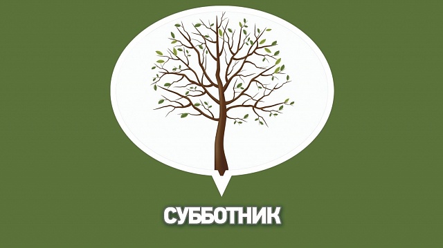 Участие в субботнике