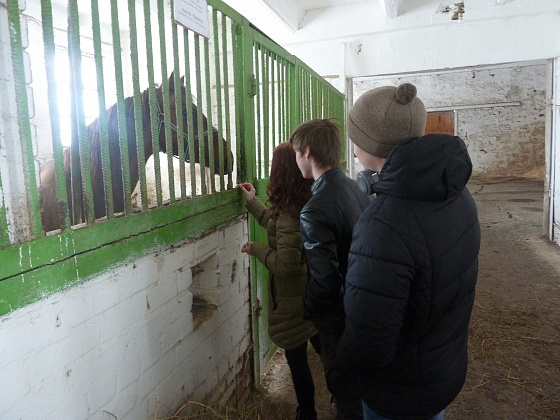 Поездка на племенной конный завод «Вологодский»