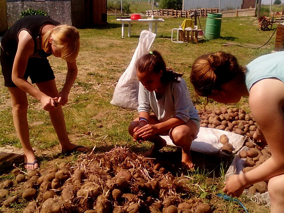 Выезд на восстановление храма