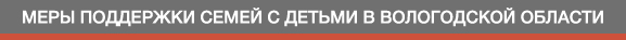«Меры поддержки семей с детьми в Вологодской области»