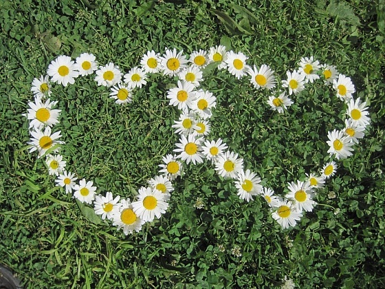 Праздник семьи, любви и верности